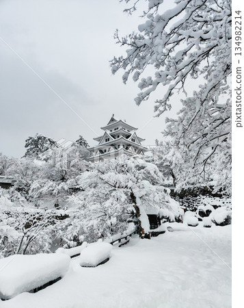 雪中的郡上八幡城 134982214