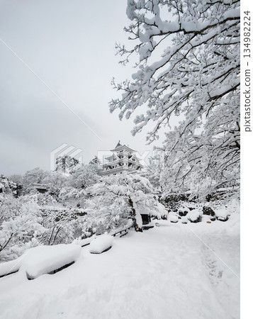 雪中的郡上八幡城 134982224
