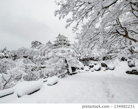 雪中的郡上八幡城 134982231
