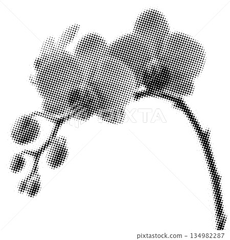Orchid Flower Branch Halftone with Buds 134982287