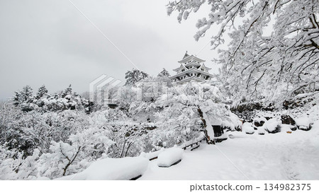 雪中的郡上八幡城 134982375
