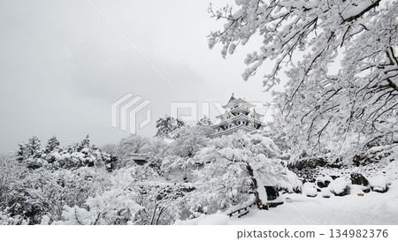 Gujo Hachiman Castle in the snow Gujo Hachiman Castle in the snow 134982376