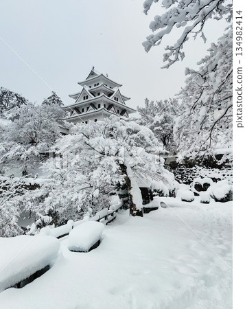 雪中的郡上八幡城 雪中的郡上八幡城 134982414