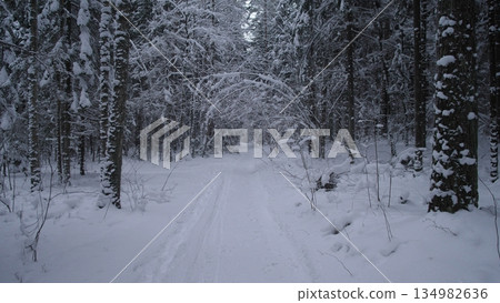 Arched Snowy Branches Forming Natural Gateway Over Compact Trail, Soft Diffuse Light, Inviting Route For Winter Hiking Or Contemplative Walk, Tranquil Stillness Of Woods. Arched Snowy Branches Forming Natural Gateway Over Compact Trail, Soft Diffuse Light, Inviting Route For Winter Hiking Or Contemplative Walk, Tranquil Stillness Of Woods. 134982636