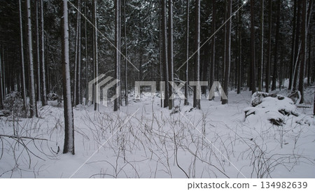 Frozen Woodland Imagery, Spectacular Winter Scene Featuring Snowy Trees And Rough Terrain, Picturesque Winter Landscape Showcasing Frostladen Branches And Uneven Snowy Forest Floor Frozen Woodland Imagery, Spectacular Winter Scene Featuring Snowy Trees And Rough Terrain, Picturesque Winter Landscape Showcasing Frostladen Branches And Uneven Snowy Forest Floor 134982639