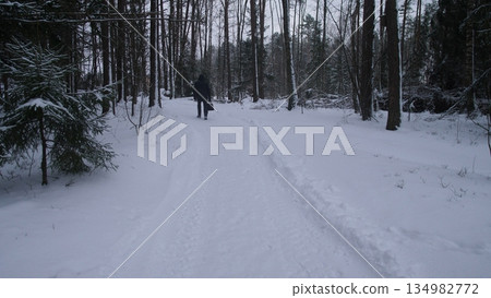 Silhouettes Hike Through Cold Pine Woods, Two Individuals Trek Across Snowcovered Pine Trail During Winter, Two Figures Walk Along Snowy Path Surrounded By Tall Pine Trees In Winter Silhouettes Hike Through Cold Pine Woods, Two Individuals Trek Across Snowcovered Pine Trail During Winter, Two Figures Walk Along Snowy Path Surrounded By Tall Pine Trees In Winter 134982772
