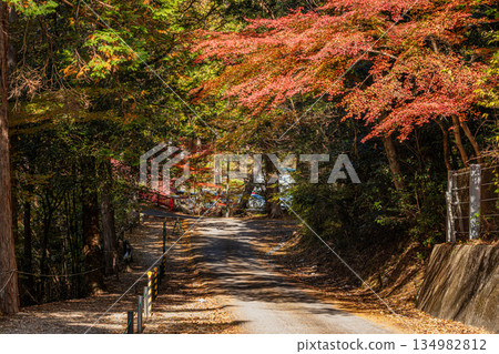 Scenery of Aichi Prefectural Forest in Shinshiro City (Aichi Prefecture) Scenery of Aichi Prefectural Forest in Shinshiro City (Aichi Prefecture) 134982812