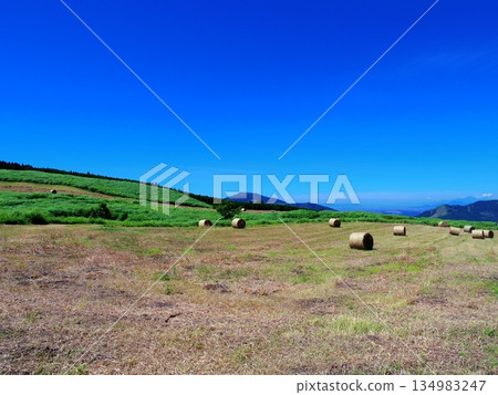 Nature of Aso, Kumamoto 134983247