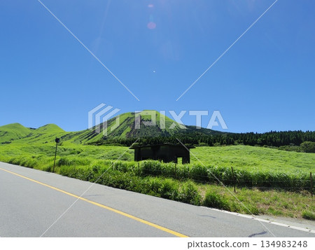 Nature of Aso, Kumamoto 134983248