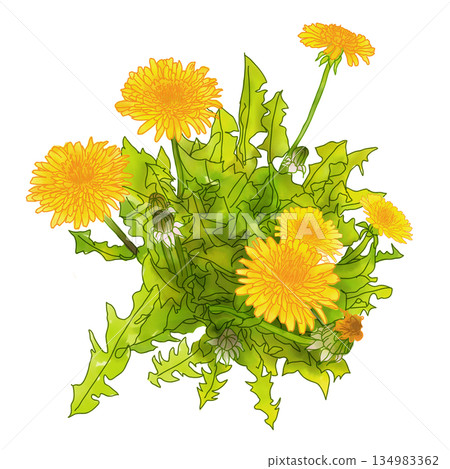 路邊的蒲公英 134983362