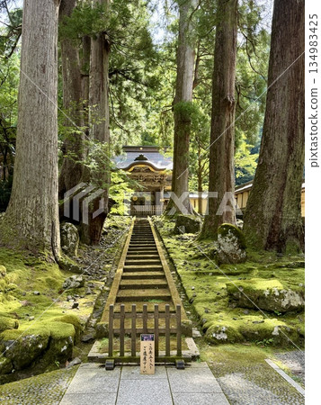 2025年夏季，永平寺內長滿青苔的石燈籠 134983425