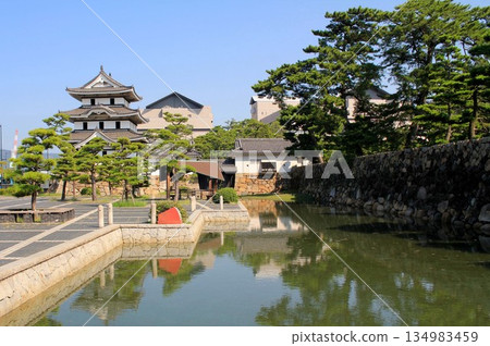 Castle Takamatsu 134983459