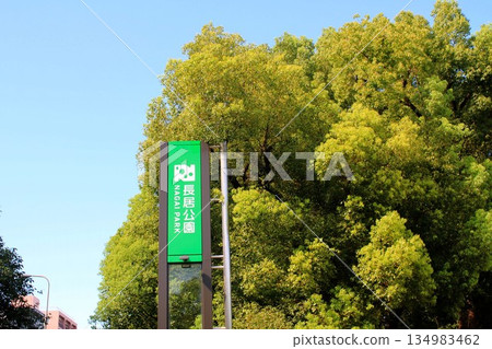 Nagai Park 134983462