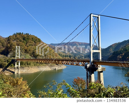 箱瀨大橋，又稱夢之橋，橫跨九頭龍川，福井縣，秋季 134983536