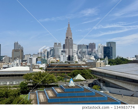Tokyo skyscrapers seen from above, Shinjuku Ward Tokyo skyscrapers seen from above, Shinjuku Ward 134983774