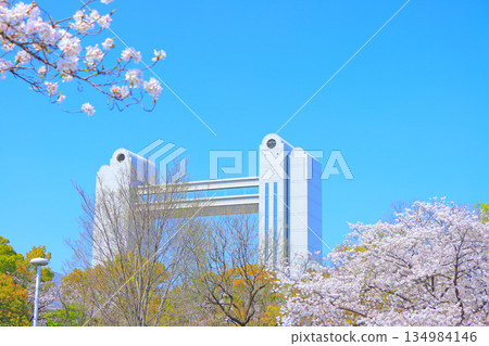 Spring in Nagoya, Aichi Prefecture, with cherry blossoms in full bloom and the Nagoya International Conference Center 134984146