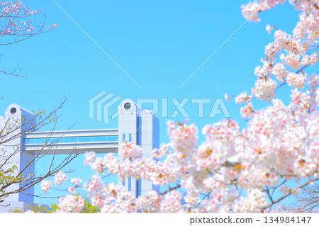 Spring in Nagoya, Aichi Prefecture, with cherry blossoms in full bloom and the Nagoya International Conference Center Spring in Nagoya, Aichi Prefecture, with cherry blossoms in full bloom and the Nagoya International Conference Center 134984147
