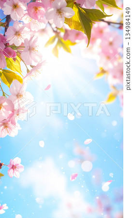 Spring background with cherry blossoms blooming against the blue sky, frame of petals and bokeh light, vertical copy space material Spring background with cherry blossoms blooming against the blue sky, frame of petals and bokeh light, vertical copy space material 134984149