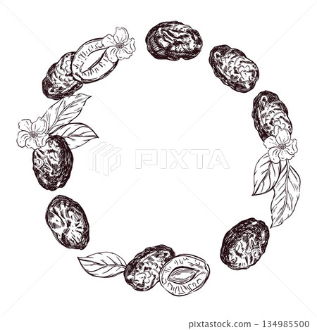 A wreath of dry prunes, flowers and leaves. Hand drawn plum fruit and florak in circle frame. Natural dried fruit for healthy food and cooking application. Botanical sketch for packaging. 134985500