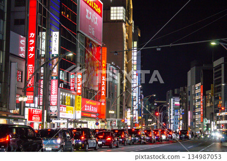 Ueno Night 134987053