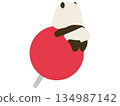 Panda riding on a thumbtack 134987142
