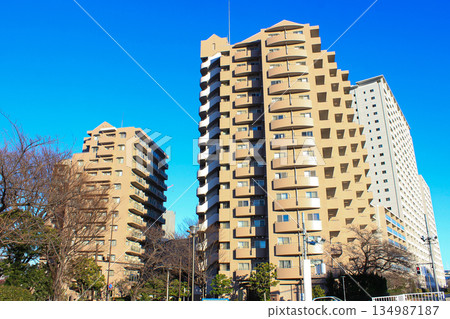 Apartments along the Sumida River Apartments along the Sumida River 134987187