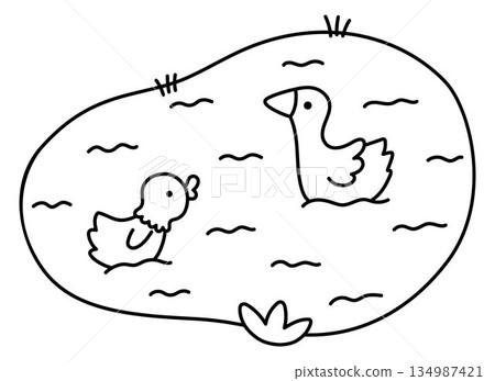 Vector line pond with goose and duck icon. Cute water birds in a small lake clipart. Nature black and white illustration or coloring page for kids isolated on white background 134987421