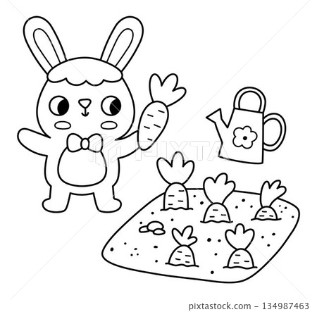 Vector Easter bunny with growing carrots on bed and watering can. Funny rabbit line icon. Cute spring, garden or farm animal black and white illustration for kids. Funny hare clipart, coloring page 134987463
