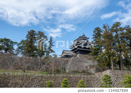 國寶松江城 - 島根縣松江市 - 134987899
