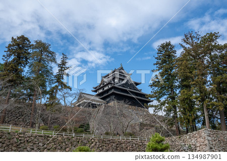 國寶松江城 - 島根縣松江市 - 134987901