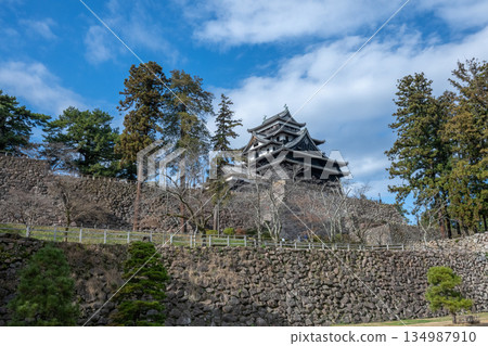 國寶松江城 - 島根縣松江市 - 國寶松江城 - 島根縣松江市 - 134987910