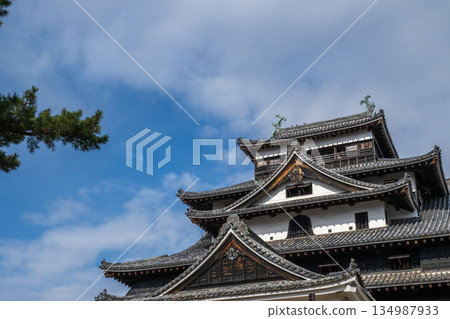 National Treasure Matsue Castle -Matsue City, Shimane Prefecture- 134987933