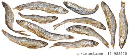 Small dried fish isolated on white background, salty anchovy collection, full depth of field Small dried fish isolated on white background, salty anchovy collection, full depth of field 134988226