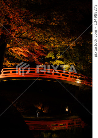 靜岡縣遠富國一宮市小國神社的秋葉 靜岡縣遠富國一宮市小國神社的秋葉 134989275