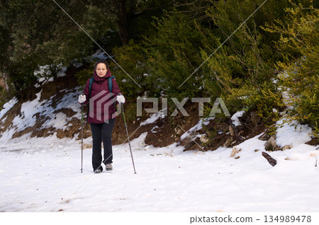 Woman Hiking With Poles Through Snowy Forest On Winter Adventure 134989478