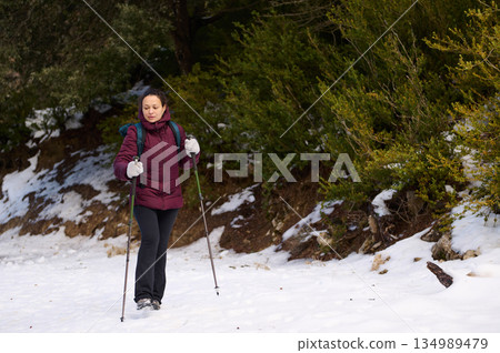 Woman Hiking With Trekking Poles On a Snowy Forest Trail In Winter Woman Hiking With Trekking Poles On a Snowy Forest Trail In Winter 134989479