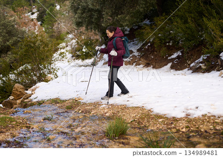 Woman Hiking Through Snowy Forest Trail With Trekking Poles On Winter Adventure In Serene Terrain Woman Hiking Through Snowy Forest Trail With Trekking Poles On Winter Adventure In Serene Terrain 134989481