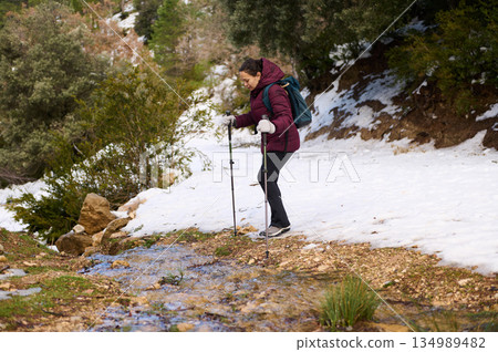 Woman Hiker With Backpack Crosses Snowy Trail Using Poles in Winter Landscape Woman Hiker With Backpack Crosses Snowy Trail Using Poles in Winter Landscape 134989482