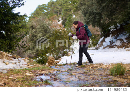 Woman Hiking With Trekking Poles On Snowy Trail In Winter Adventure Woman Hiking With Trekking Poles On Snowy Trail In Winter Adventure 134989483