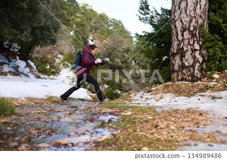 Woman Hiker with Trekking Poles Traverses Snowy Forest Trail in Winter Adventure Woman Hiker with Trekking Poles Traverses Snowy Forest Trail in Winter Adventure 134989486