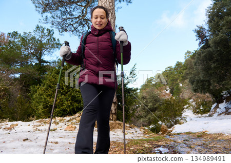 Hiker Woman With Trekking Poles On Snowy Trail Amid Trees In Winter Adventure Hiker Woman With Trekking Poles On Snowy Trail Amid Trees In Winter Adventure 134989491