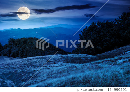 beautiful mountain landscape with beech trees on rolling hills at night. mysterious view of alpine countryside scenery in full moon light. backdrop for fiction art or mystery concepts 134990291