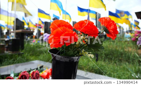 Bright red poppies flower serving as universal sign of memory in military cemetery. At blurred background ukrainian flags mark graves of fallen soldiers creating solemn tribute to sacrifice and memory 134990414