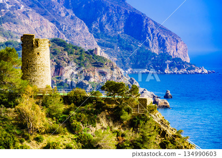 Spanish coast with Pine Tower, Andalusia. 134990603