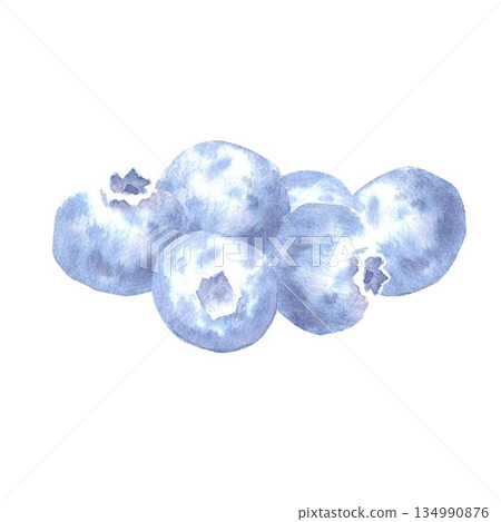 Blueberries drawn by hand in watercolor on an isolated background for the design of menus and advertising in the store, fabric, stickers, design of desserts, baked goods, juices, fruit drinks. 134990876