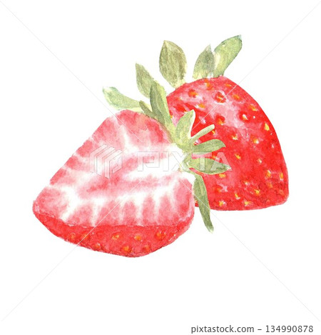 Strawberries, hand-drawn in watercolor on an isolated background for the design of menus and advertising in the store, fabric, stickers, decoration of desserts, baked goods, juices, fruit drinks. 134990878