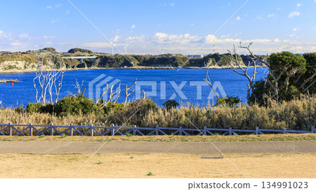 神奈川縣最南端城島的冬季 神奈川縣最南端城島的冬季 134991023