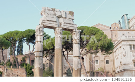 Panoramic View Of Roman Forum With Ancient Ruins, Columns, Historic landmarks 134991136