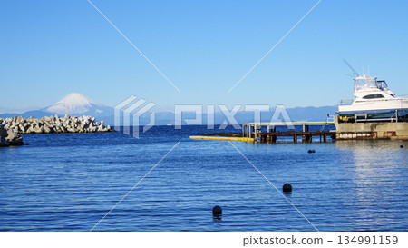 橫須賀市荒崎公園的冬天 134991159