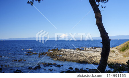 Winter at Arasaki Park in Yokosuka City 134991163